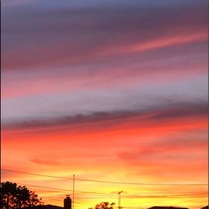 Meet your Posher, Carol